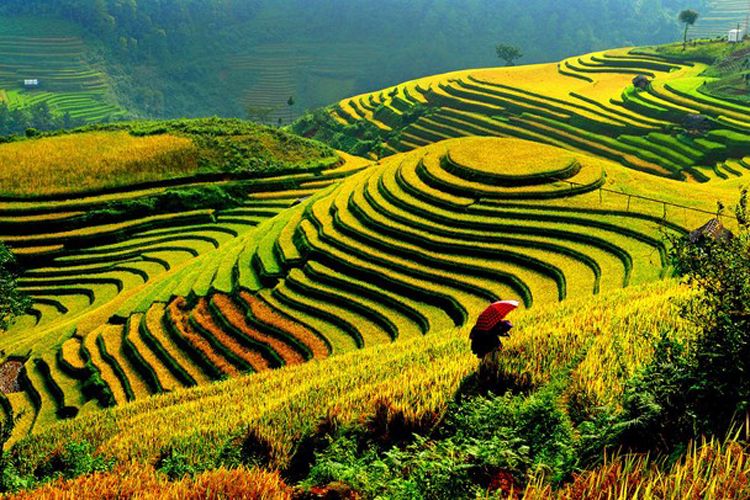 THÔNG TIN DU LỊCH 2/10