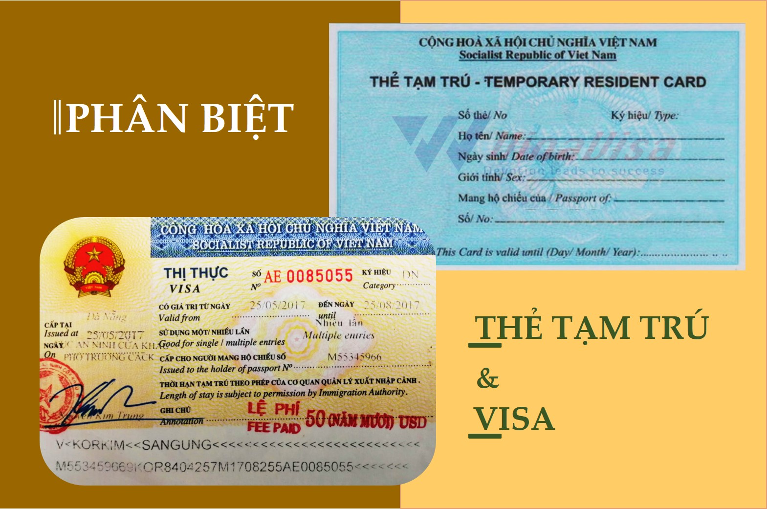 Phân biệt visa và thẻ tạm trú