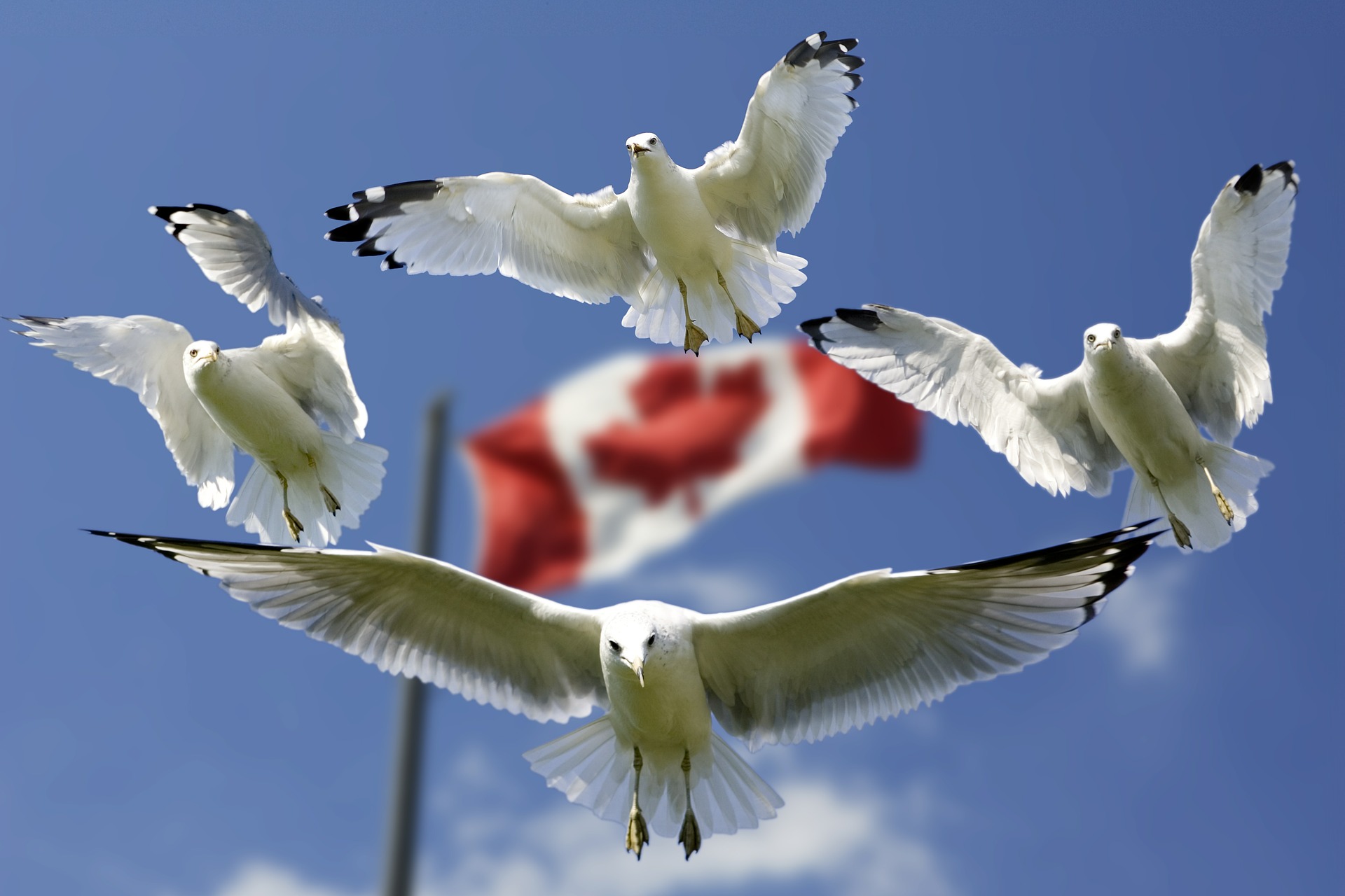 Du lịch Canada