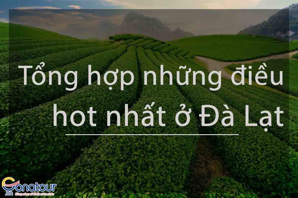 Du lịch Đà Lạt có gì hot