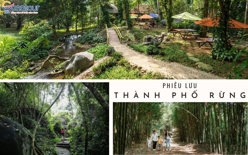 Kinh nghiệm du lịch tour Madagui 2 ngày 1 đêm