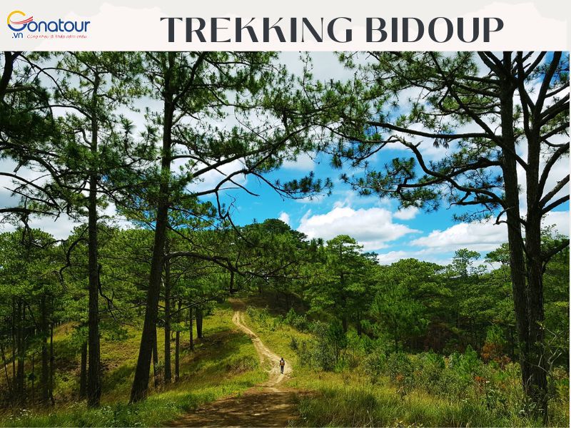 Trekking Bidoup