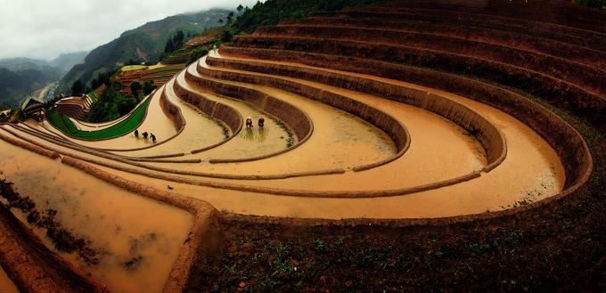 Mù Cang Chải