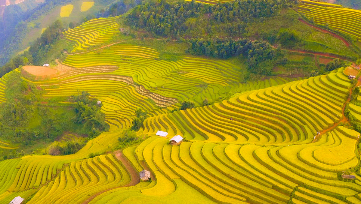 Mù Cang Chải một trong những điểm tham quan nổi bậc vùng Tây Bắc.
