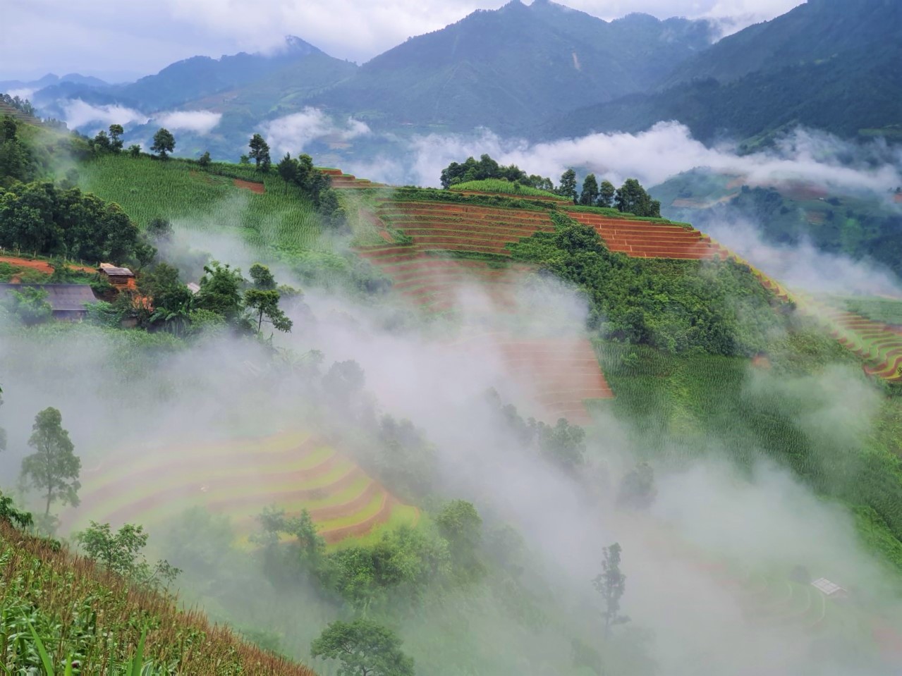 Mù Cang Chải